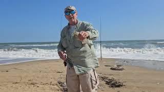 Virginia Beach Surf Fishing October 2023