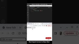 How To Change Input Cursor Colour Using CSS