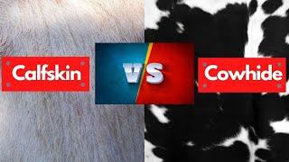 Calfskin Vs Cowhide | Which is Best & Cheapest