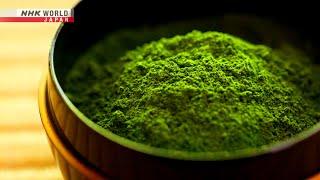 JAPANESE GREEN TEA: Unbelievable Matcha Making - Dig More Japan