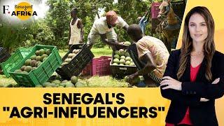 Senegal’s “Agri-influencers” Reboot The World of Farming | Firstpost Africa