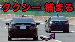 【プロドライバーが...】覆面パトカーがタクシーを捕まえる瞬間‼️　[警察 取り締まり 高速道路 220系]