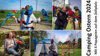 Camping (Ostern 2024) - mit 4 Papageien auf dem Zeltplatz