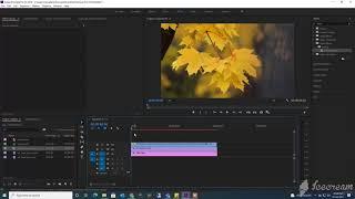 Free Ink Transition For Premiere Pro CC Tutorial