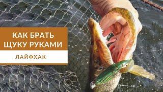 Как брать щуку руками? Безопасный способ для красивых фото.