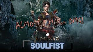 LOST ARK SOUL FIST 3v3 900k DMG