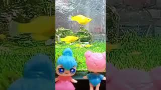 loli play in aquarium with friends LOL suprise 