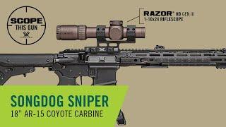 AR-15 Build for Coyote Hunting | Scope This Gun