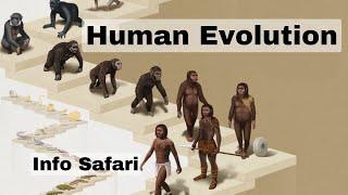 The Story of Humans| From Apes to Astronauts| Info Safari