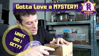 MYSTERY BOX - Unseen Universe!