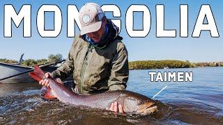 Fly Fishing Mongolia: TAIMEN - The World's Largest Salmonid