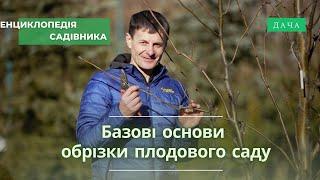 Обрізка Плодового Саду. Відповіді На Питання. Частина 1. Базові основи Обрізки Плодового Саду.