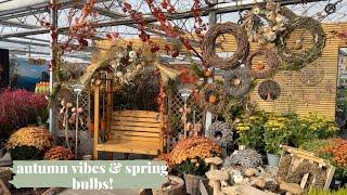 Autumn vibes in the garden centre and spring bulbs!