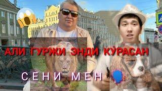 АЛИ КУМИРЧИ КУЁНГА УХШАБ КОЧМА БИР ЖОЙДА ТУР !