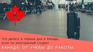 10. Что делать в первые дни в Канаде, если ты иностранный студент | Канада: от учебы до работы