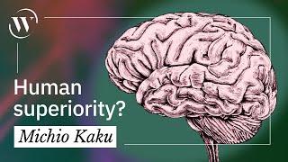 How humans evolved to be intelligent | Michio Kaku