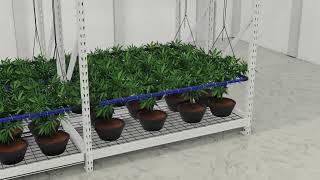 Revolutionize your Cannabis SCROGing method with our patent-pending Green Tree Scrog