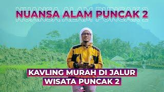 Konsep Nuansa Alam Puncak 2 || Tanah Kavling Murah di Jalur Puncak 2 || Legalitas Aman,View Indah