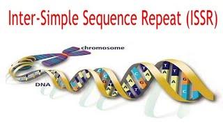 INTER SIMPLE SEQUENCE REPEAT