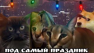 Новогодний фильм про Шлёпу «Под самый праздник»