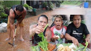 MAKAN LALAPAN BATANG PEPAYA DI ATAS BANJIR