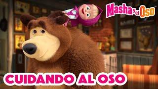 Masha y el Oso 2024 ‍️ Cuidando al Oso  1 hora  Dibujos animados  Masha and the Bear