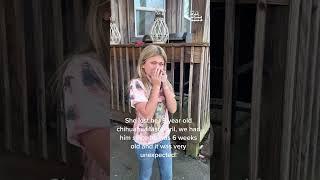 Little Girl Cries Happy Tears After Meeting New Puppy!