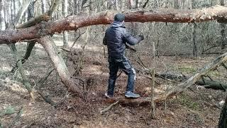 ночевка в лесу. Лесное убежище. Бушкрафт