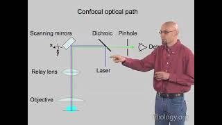 Confocal Microscopy（optical sectioning） and Triangulation 3D scanning technology