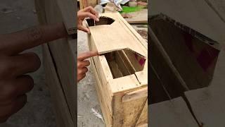  Apple Box For 2 Dor Middle Gep Setting Tips #pigeonlover #kalapati #pet #shorts #tips #2025