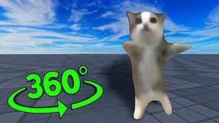 Happy Happy Cat But It's 360 Degree Video
