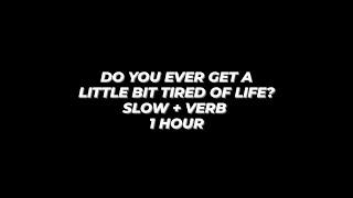 DO YOU EVER GET A LITTLE BIT TIRED OF LIFE? | SLOW + VERB VERSION | 1 HOUR