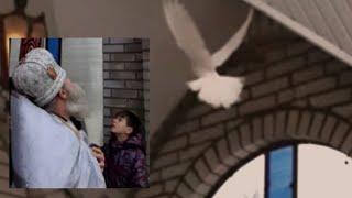 Viral Video! The Holy Spirit Manifests As A DOVE Above Baptism Font in Ukrain! Epiphany 19 JAN 2022!