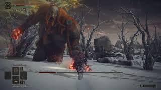 Elden Ring Fire Giant No Damage Second Phase (60FPS)