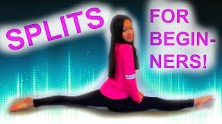 How to Learn SPLITS! For BEGINNERS