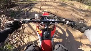 CRF150F 2019