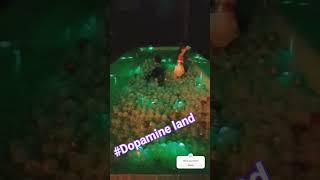 kitty-Bot at Dopamine Land  #dopamine #ballpit #ballpool #fun #london #thingstodoinlondon