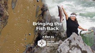 Bringing the Fish Back | BC Flood Response