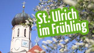 St. Ulrich im Frühling - Pfarrverband Laim - München
