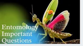 50 Important Question on Agricultural Entomology For ICAR, MSC, AFO, NSC FCI AGM 2021