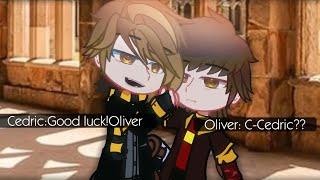 Good luck!||CedWood||Cedric x Oliver||Harry Potter||GC