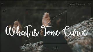 How to use Tone Curve in Lightroom CC