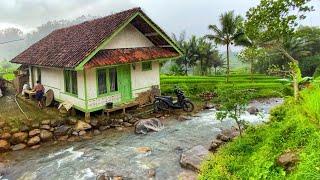 DIJAMIN BETAH MENIKMATI HIDUP DI KAMPUNG YANG INDAH ALAM DESANYA, SUASANANYA ADEM, AYEM & TENTRAM