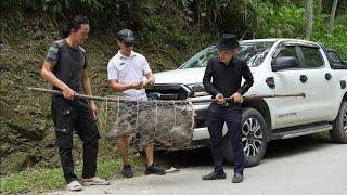Zon selling large male wild boars to rich people at high prices, vang hoa