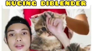 VIRAL KUCING DIBLENDER - cerita lengkap dan identitas pelaku blender kucing - kucing di blender