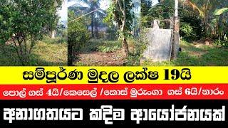 A plot of land for sale at 19 lakhs in Pinnaland, Divulapitiya, Sri Lanka/House.lk