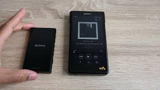 Sony NW-WM1AM2 (uncapped) Review & Comparisons: Good but vastly overpriced for what it is