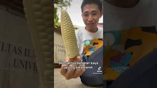 Orang Jepang makan es krim rasa jagung di Indonesia