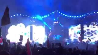 Beyond Wonderland 2015, SJ Lighting, Inc., Stephen Lieberman