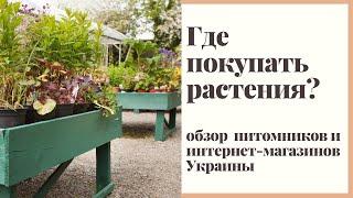 Где покупать растения в Украине? Обзор питомников и интернет-магазинов.